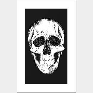 Crosshatch Skull by Skye Rain Art Posters and Art